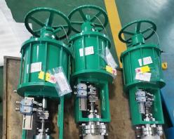 Pneumatic on off globe valve