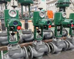 Electric globe control valve