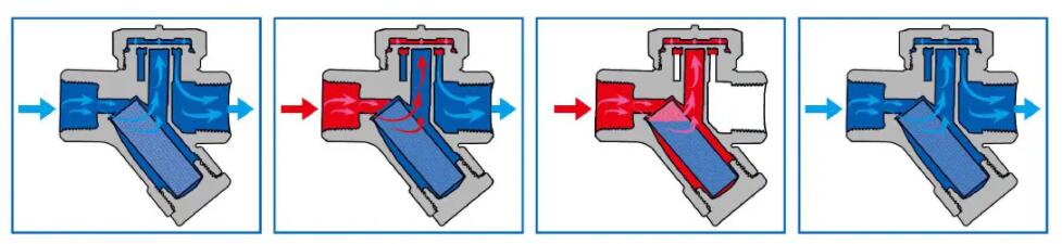 Thermadynamic Steam Trap