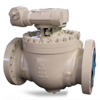 Top Entry Ball Valve Manufacturer