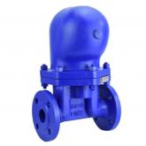 Steam Trap Valve Manufacturer